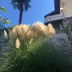 Silvana * 佩尔莱多